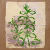Menthe - Persistances des simples