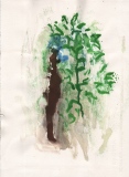 Arborescence (1) - Dessins