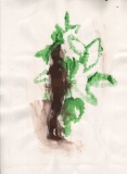 Arborescence (2) - Dessins