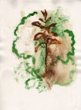 Sève - Dessins