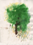 Arbre seul - Dessins